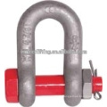 D Shaped Shackle from 7-years Experience Chinese Supplier